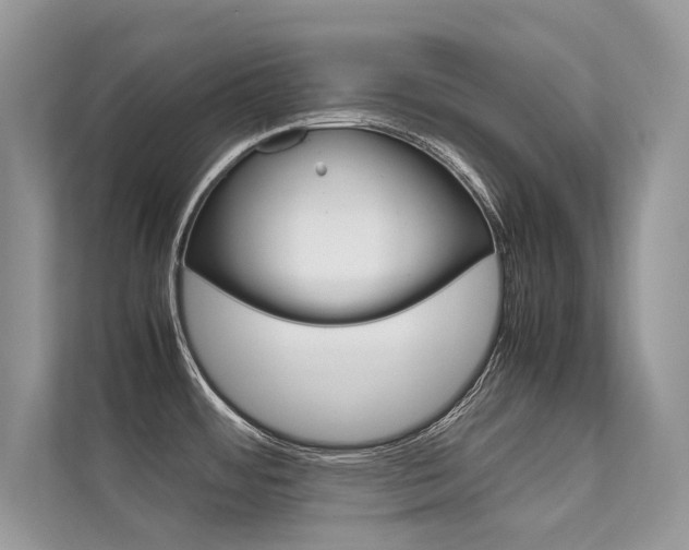 X0000112401484200908140955