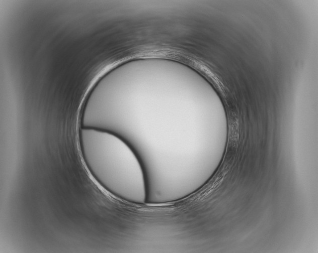 X0000112401487200908140955