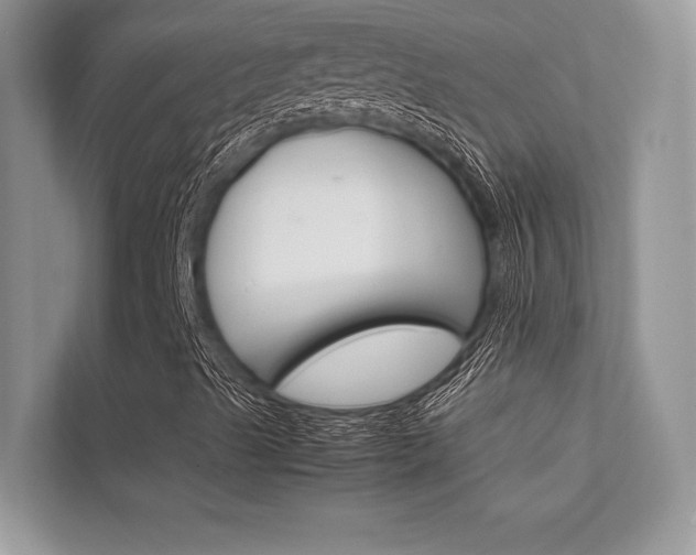 X0000112401489200908140954