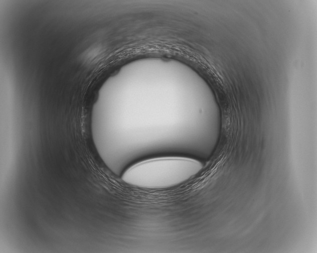 X0000112401490200908140954
