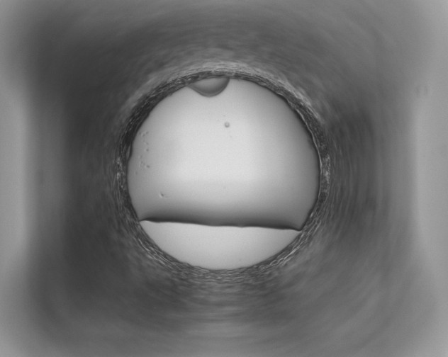 X0000112401495200908140954