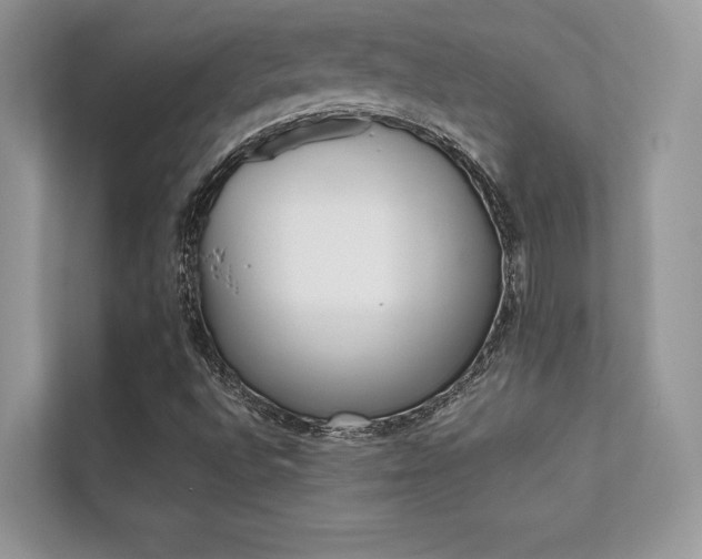 X0000112401496200908140954