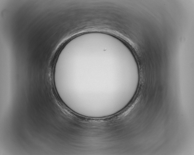 X0000112401498200908140954