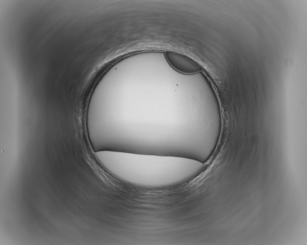 X0000112401499200908140954
