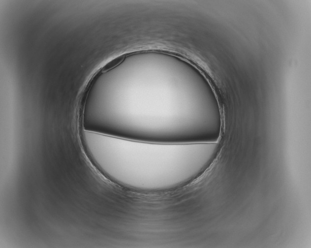 X0000112401500200908140954