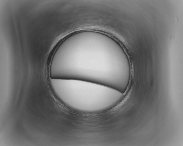 X0000112401501200908140954