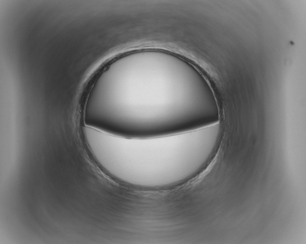 X0000112401502200908140954