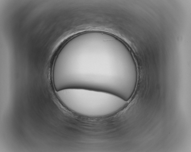 X0000112401503200908140954