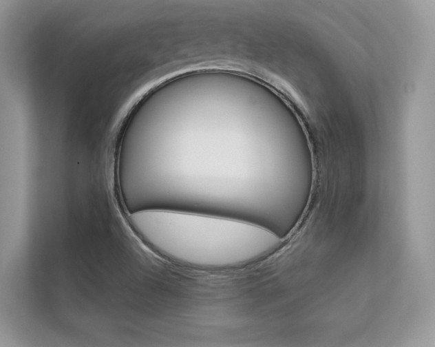 X0000112401504200908140954