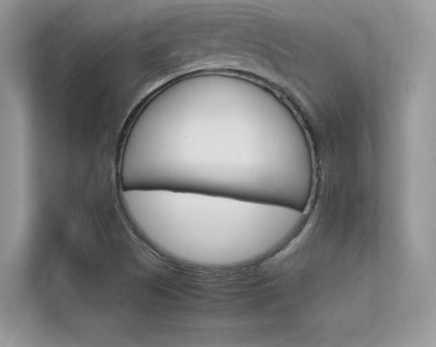 X0000112401505200908140954