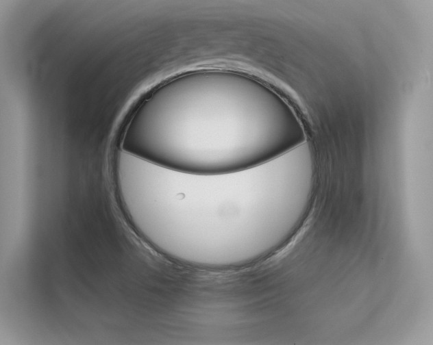 X0000112401506200908140954