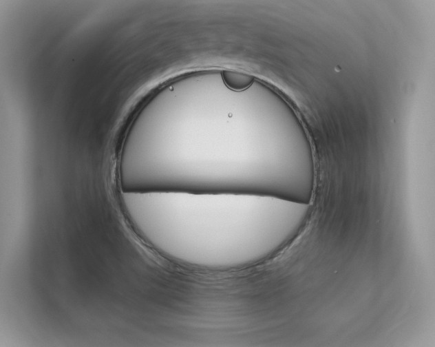 X0000112401507200908140954
