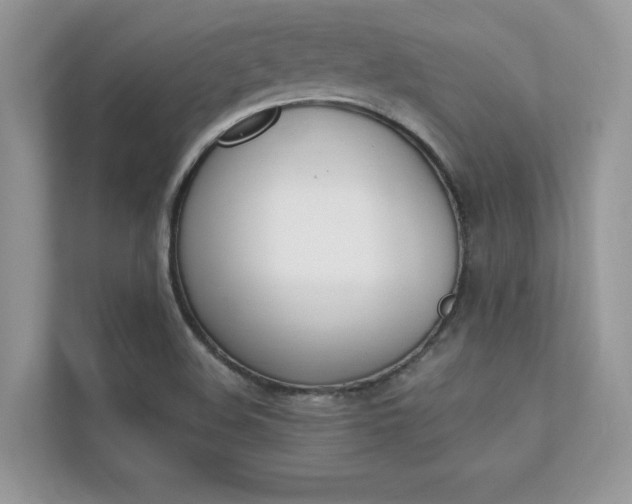 X0000112401508200908140954