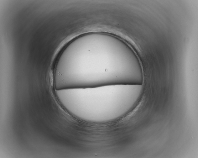 X0000112401509200908140954