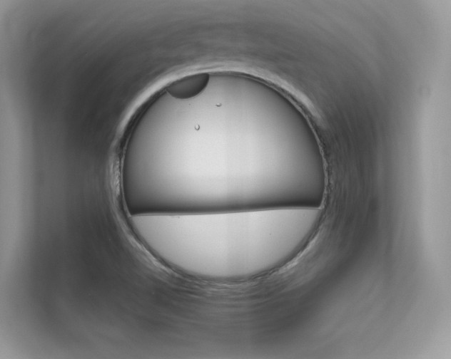 X0000112401510200908140954