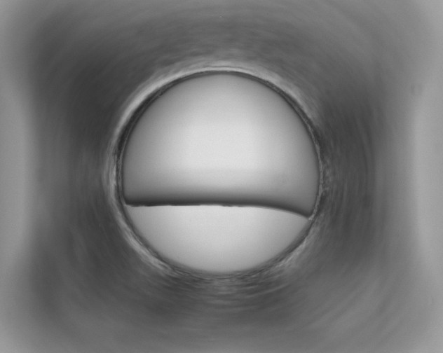 X0000112401511200908140954