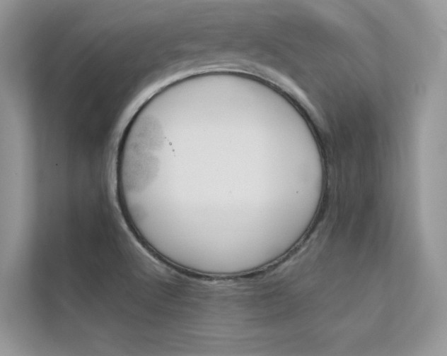 X0000112401512200908140954