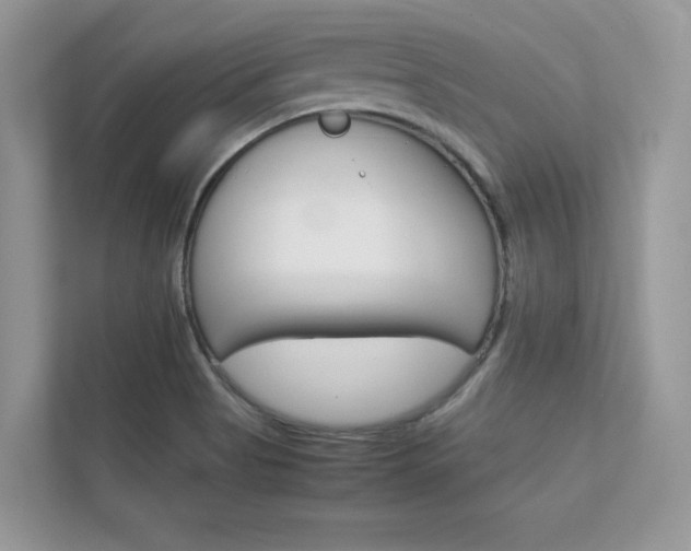 X0000112401513200908140954