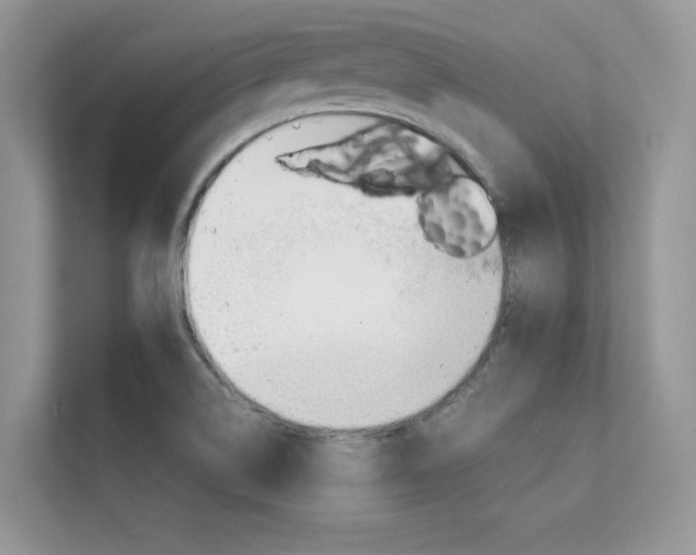 X0000112401514200908140954