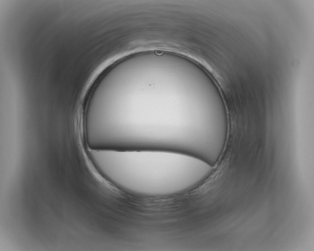 X0000112401515200908140954