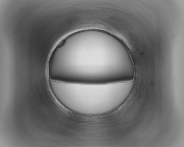 X0000112401516200908140954