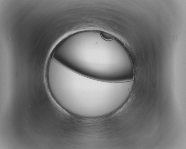 X0000112401518200908140954