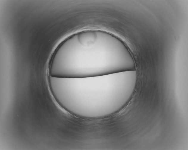 X0000112401519200908140954