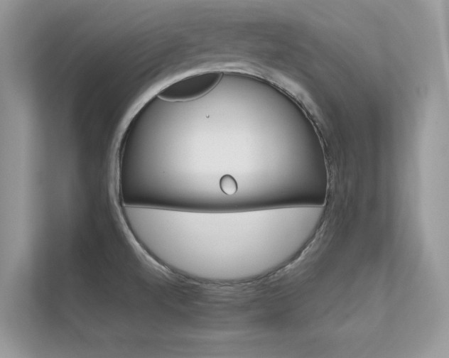 X0000112401520200908140954