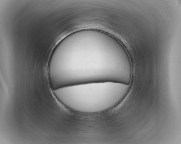X0000112401521200908140954