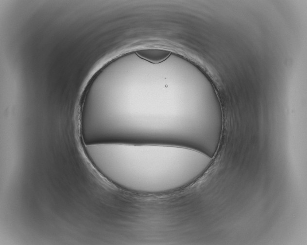 X0000112401522200908140954
