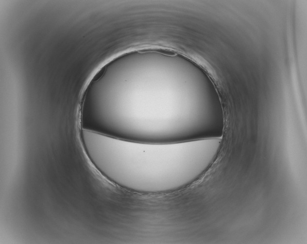 X0000112401524200908140954