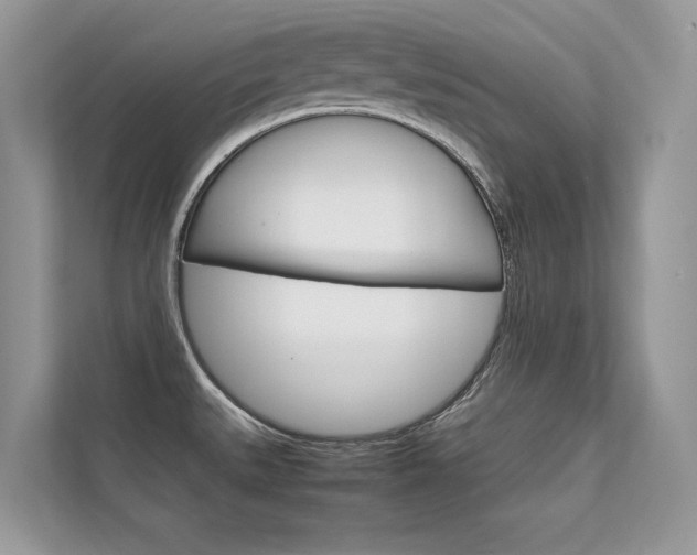 X0000112401527200908140954