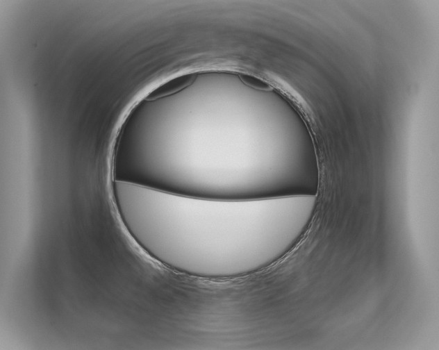 X0000112401528200908140954