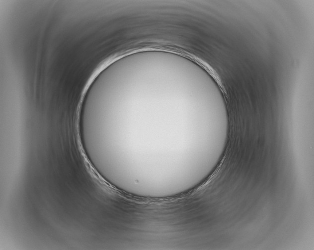 X0000112401530200908140954