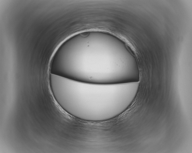 X0000112401532200908140955