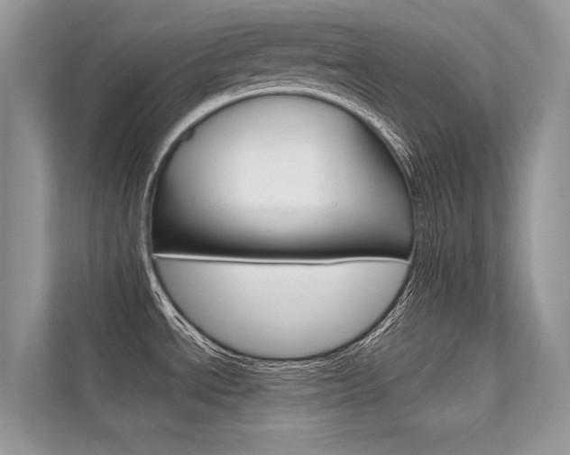 X0000112401534200908140955