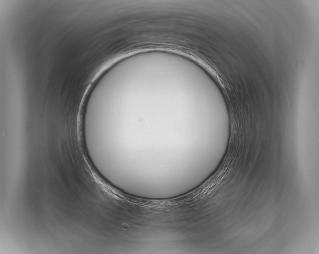 X0000112401535200908140955