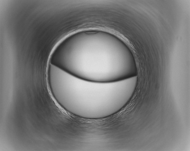 X0000112401536200908140955