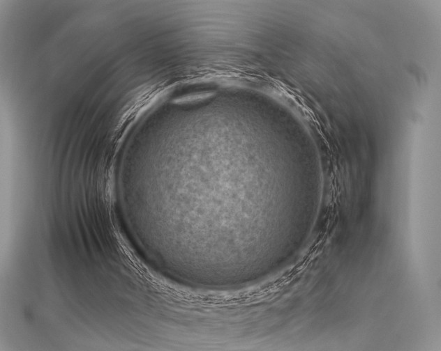 X0000112400002200908141349