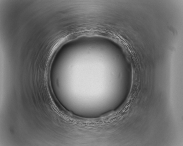 X0000112400003200908141349