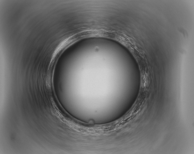 X0000112400004200908141349