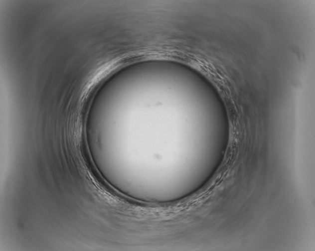 X0000112400005200908141349