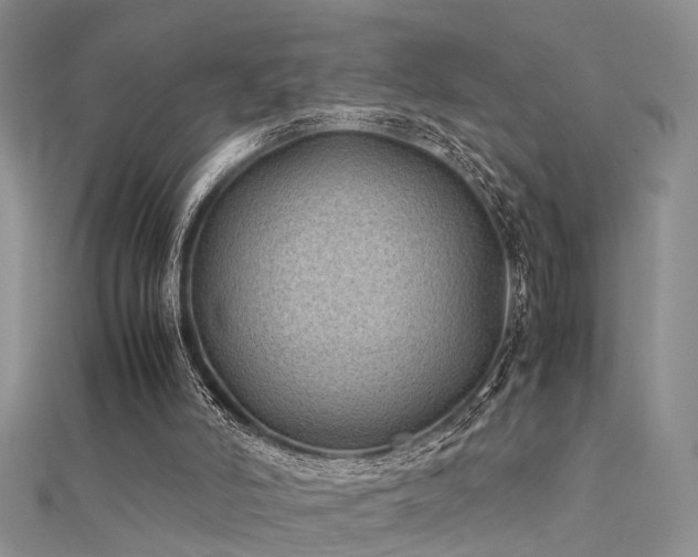 X0000112400006200908141349