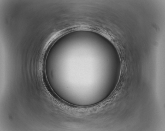 X0000112400007200908141349
