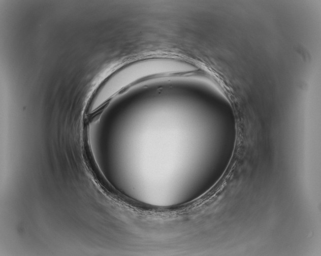 X0000112400008200908141349