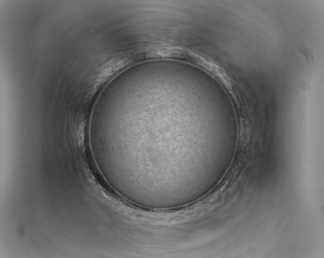 X0000112400010200908141349