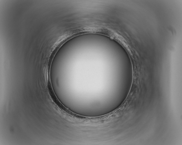 X0000112400011200908141349