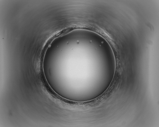 X0000112400012200908141349