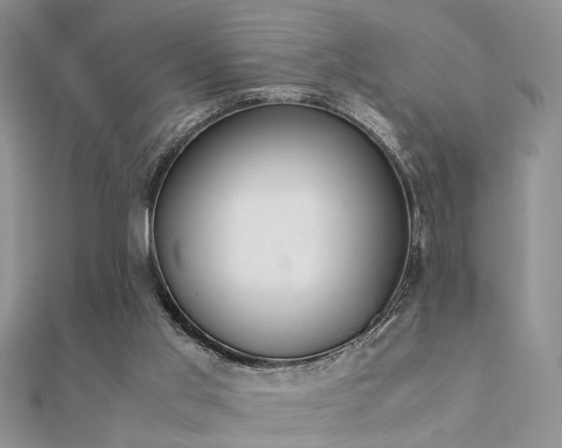 X0000112400013200908141349