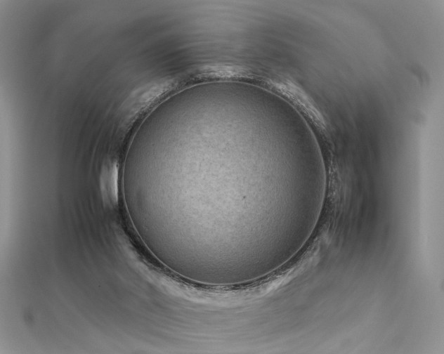 X0000112400014200908141349
